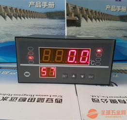 温控仪 wp c t温度监测仪动态 广东 数显温度监测仪wp c样册 描述