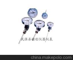 【超强防腐316材WSS-501F双金属温度计】价格,厂家,图片,温度计,武强县精创仪器仪表厂(销售公司)-